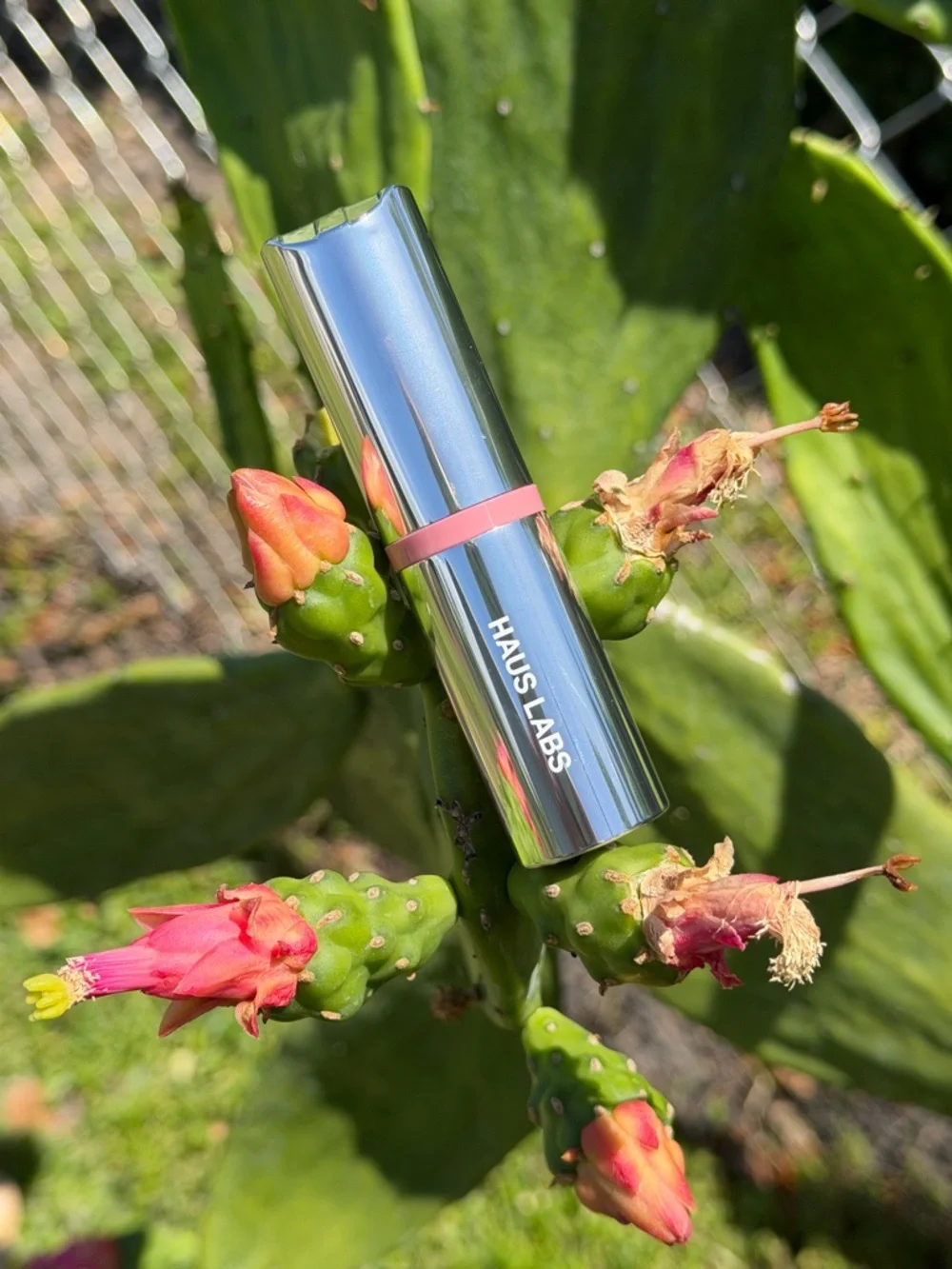 HAUS LABS By Lady Gaga Blush Balm Stick In Gassy Hibiscus (Deep Mauve)